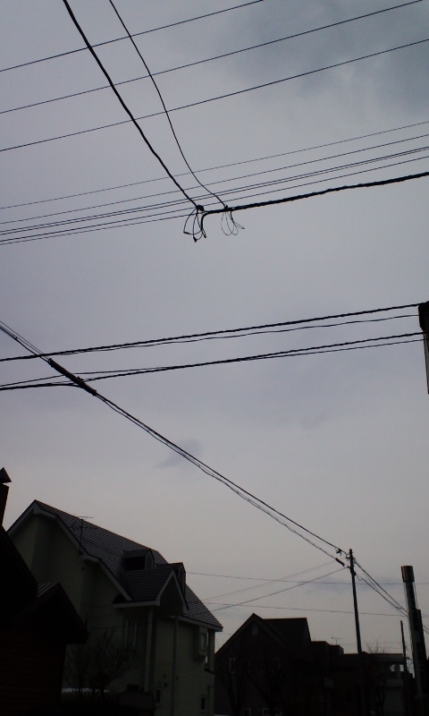 120411_0804~01.jpg