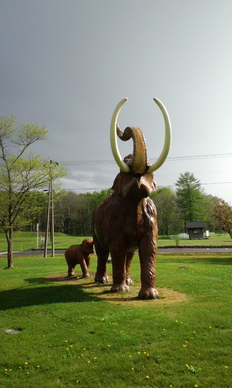 120526_1538~01.jpg