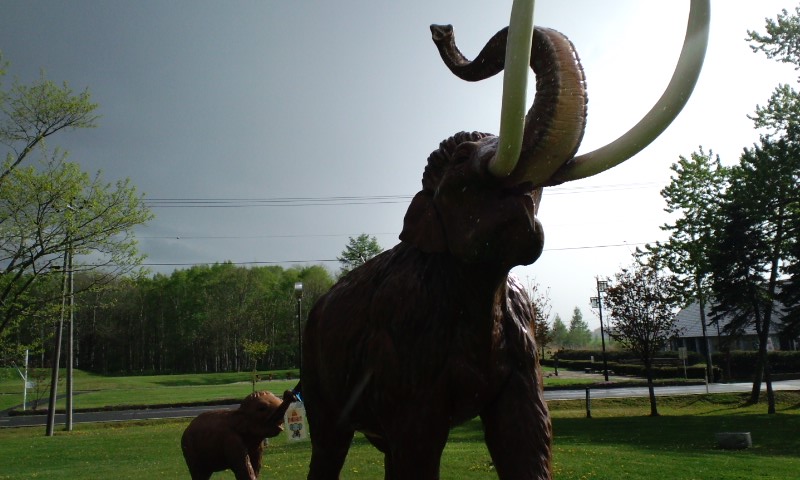 120526_1538~02.jpg