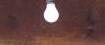 電球.jpg