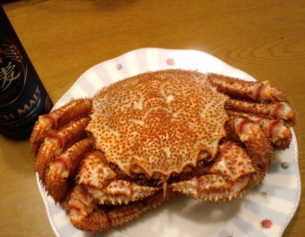 かに1.jpg