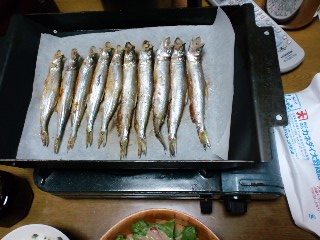 ししゃもです.jpg