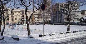 雪が降った.jpg
