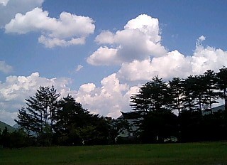 g1.jpg