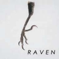 raven.jpg