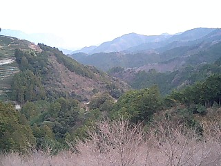 tengu5.jpg